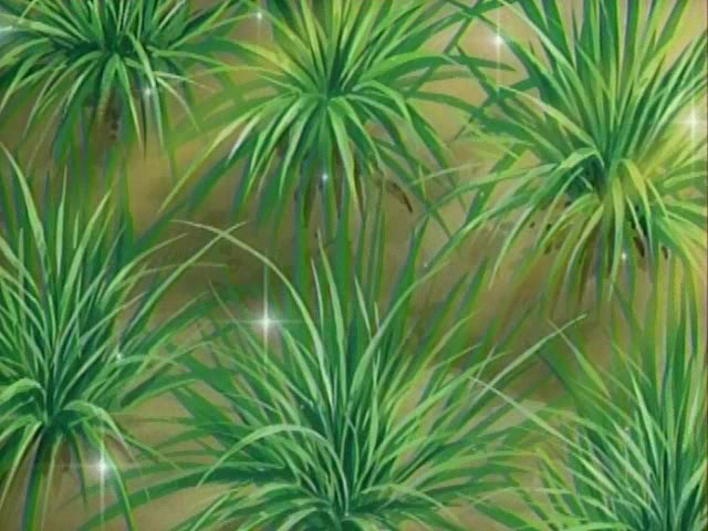 Everything sparkles in Fruits Baskets!